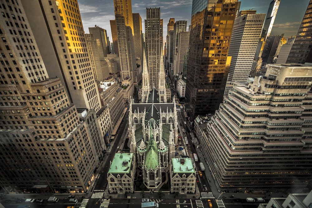 The Towers At Lotte New York Palace 44/48