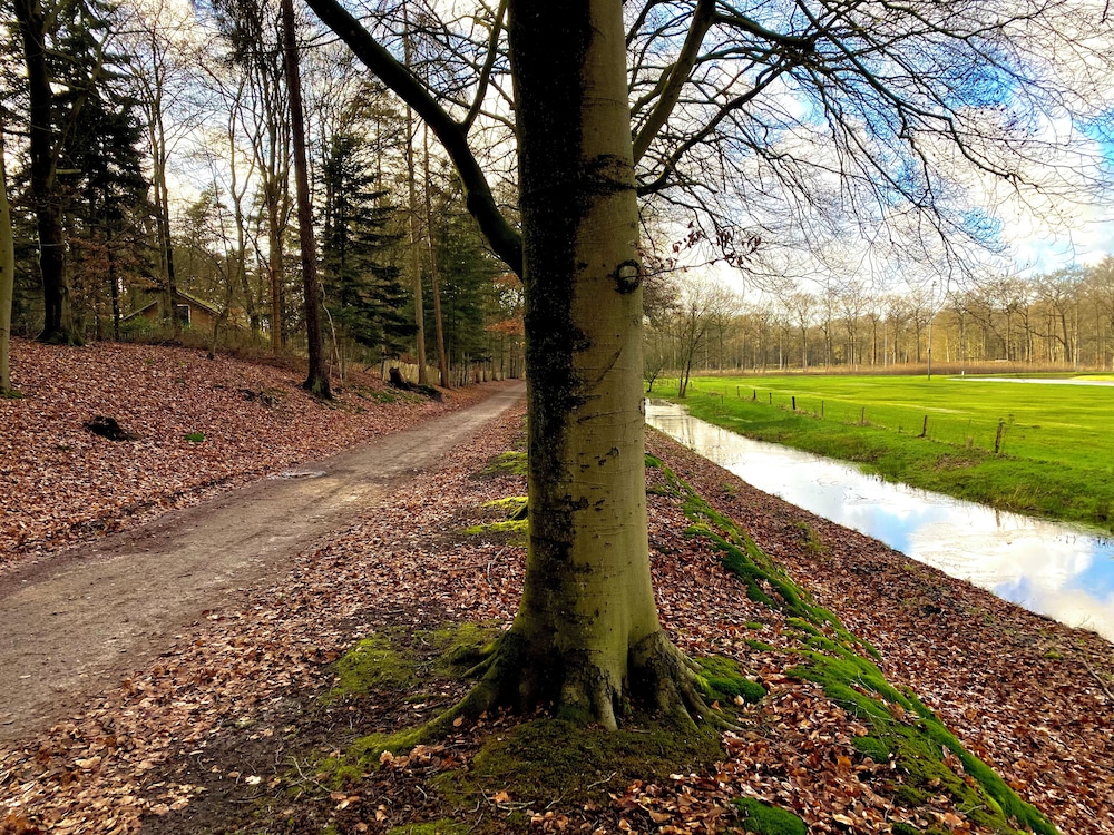 Hampshire Hotel & Spa - Paping 46/50