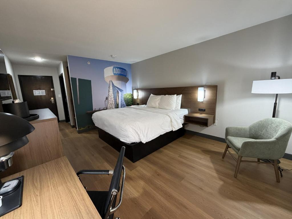 SUITE, KING BED