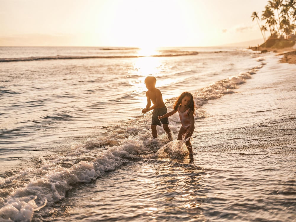 Hyatt Regency Maui Resort and Spa 46/50