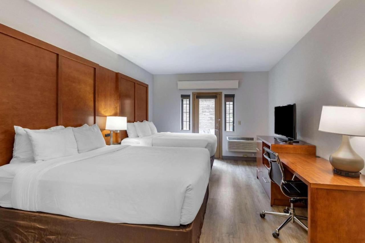 Suite, 2 Queen Beds, Sofa, Pet Friendly
