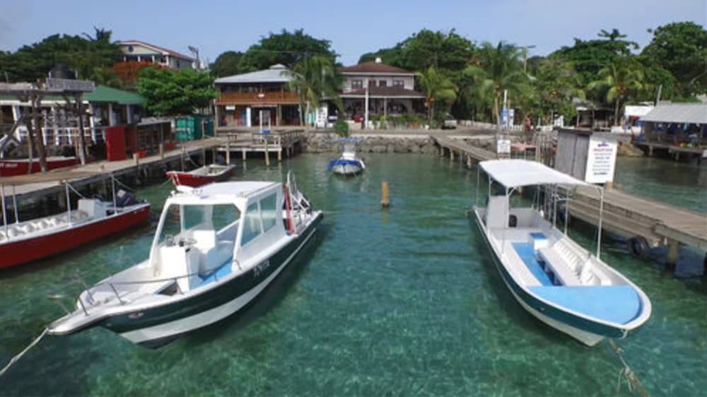 Splash Inn Dive Resort 33/38