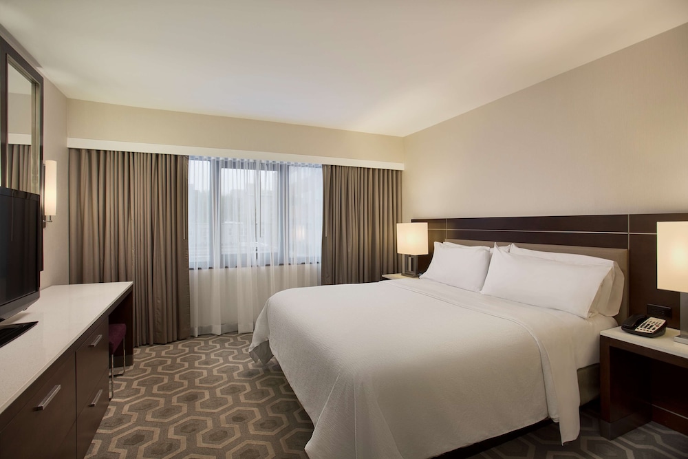 DIPLOMAT, KING BED, ACCESSIBLE