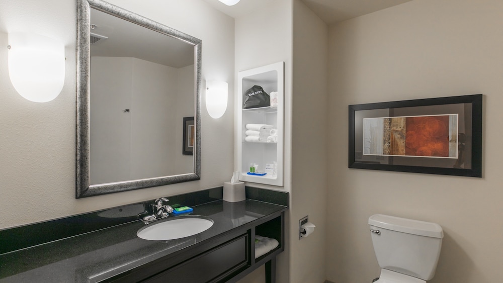 Holiday Inn Express Hotel Suites Oklahoma City Nw Quail Springs 18/76