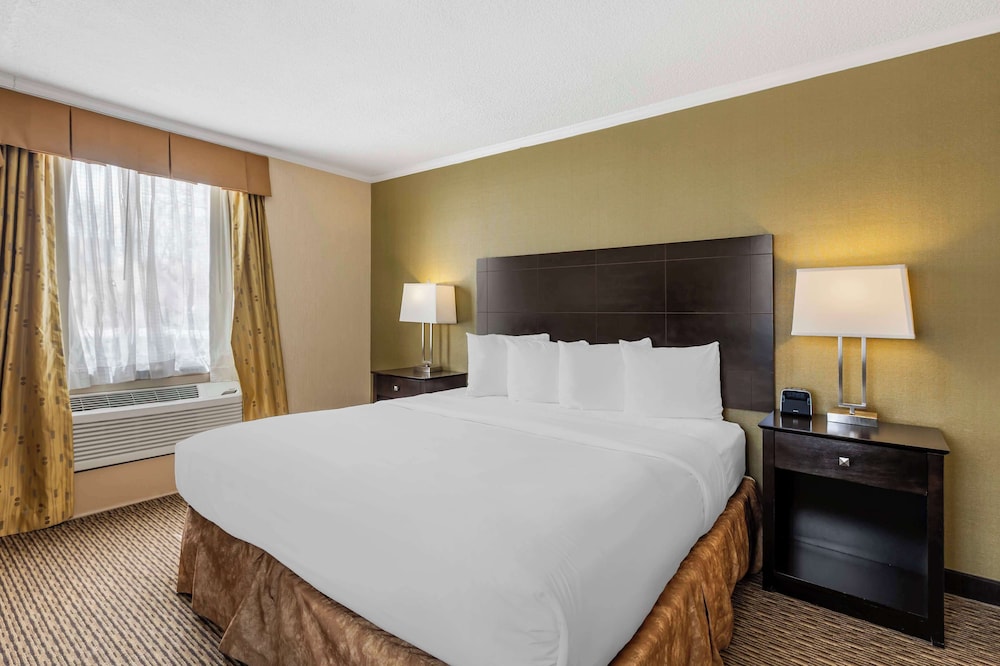 Suite, King Bed, Sofa, Living Area
