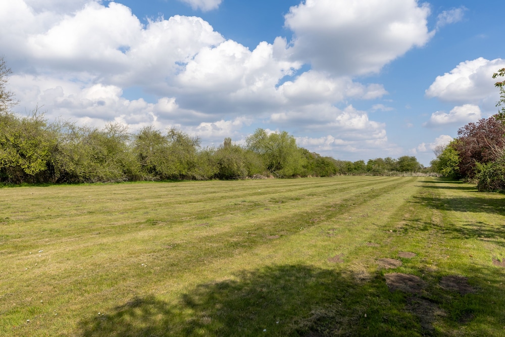 surroundings