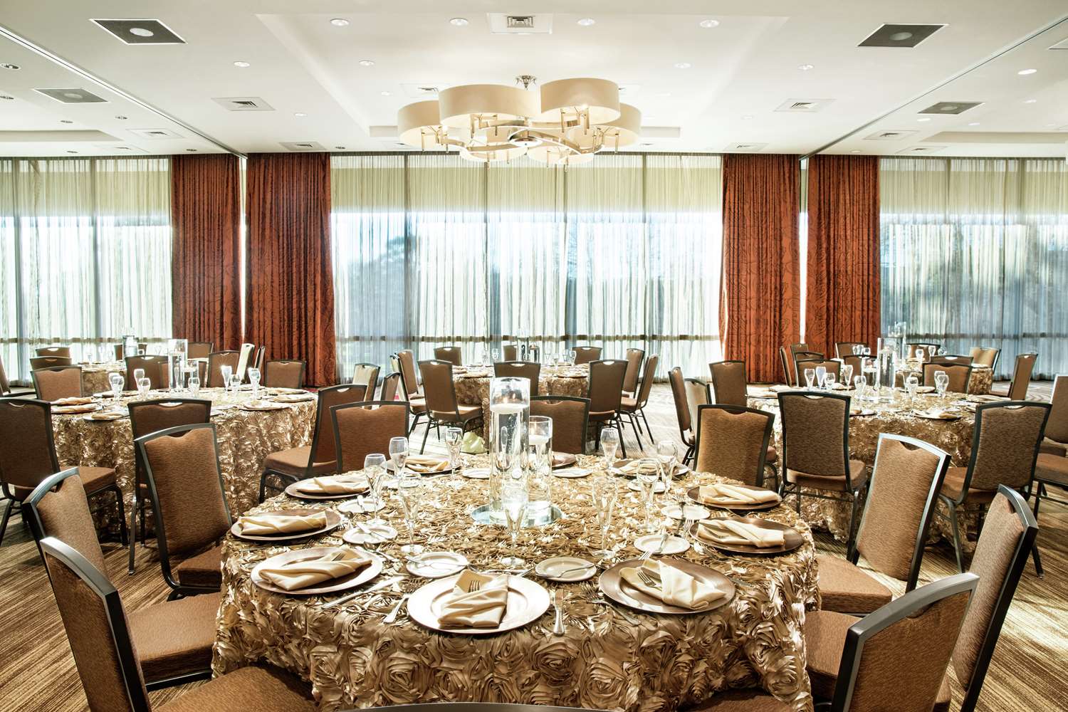 Hilton University Of Houston 8/15