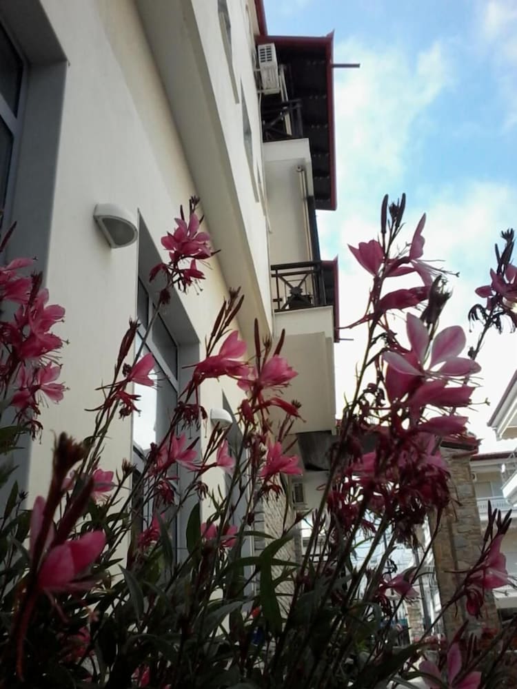 Morfeas Hotel 4/50