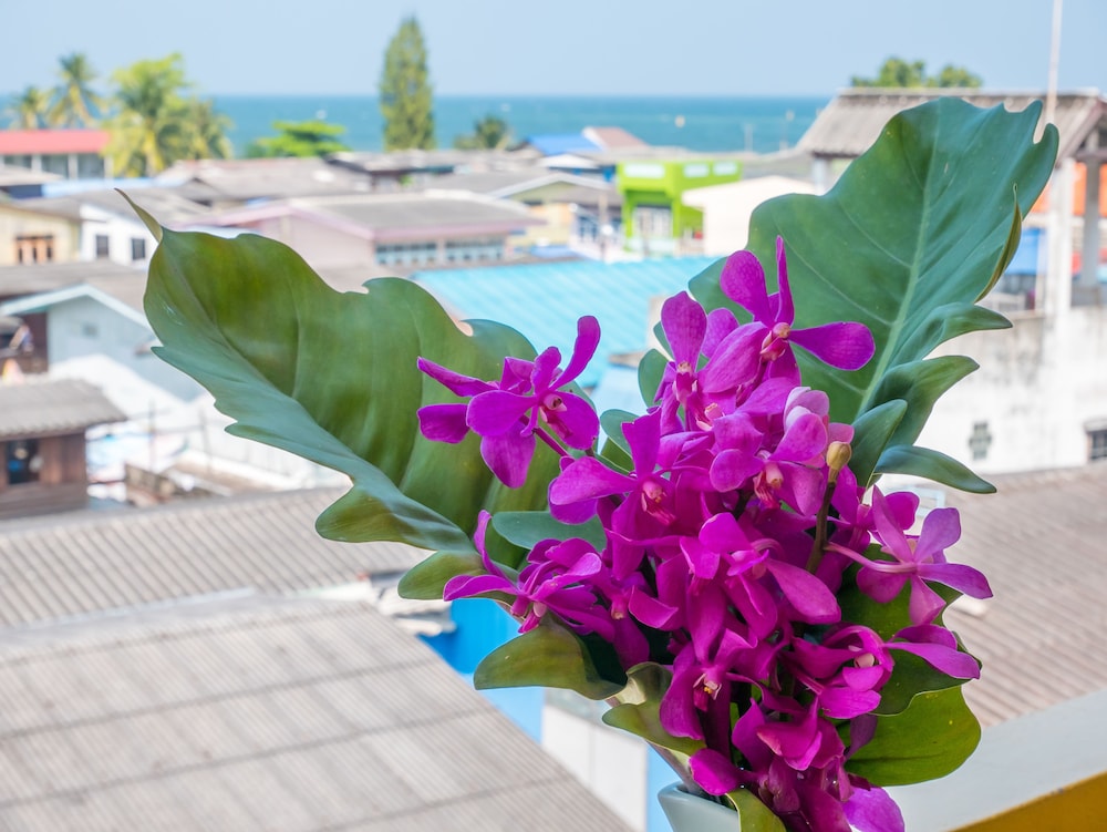 Chomsin Hua Hin Hotel 43/49