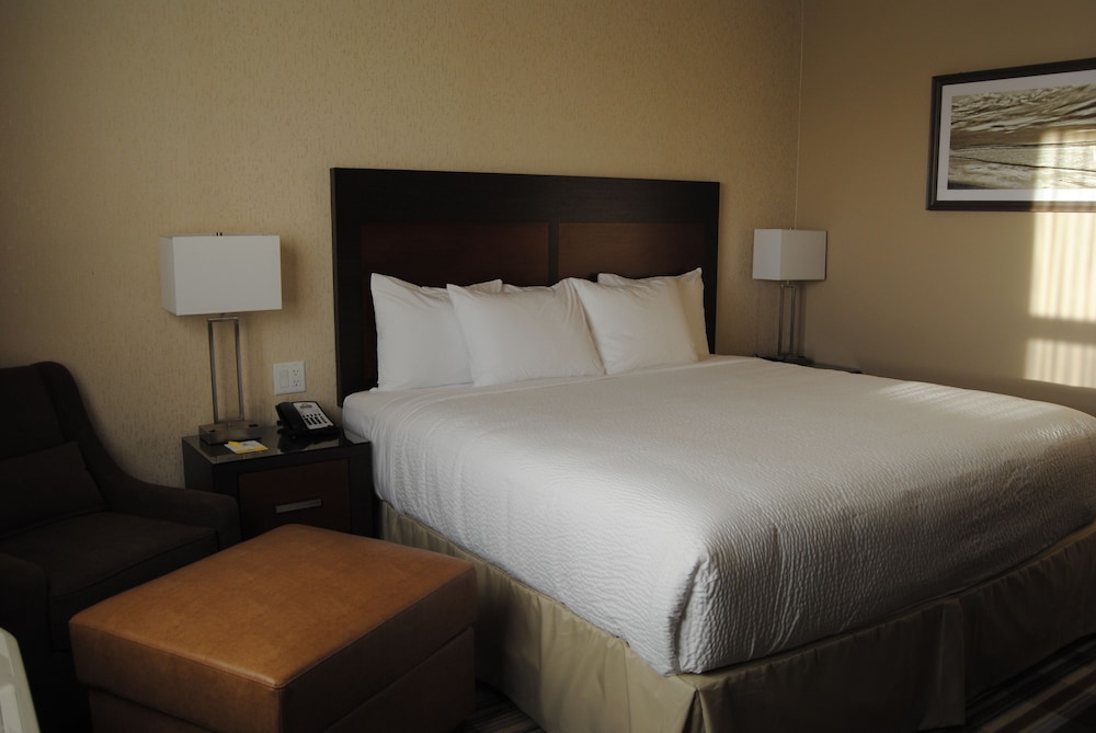 Fairfield Inn & Suites by Marriott Airdrie 19/54