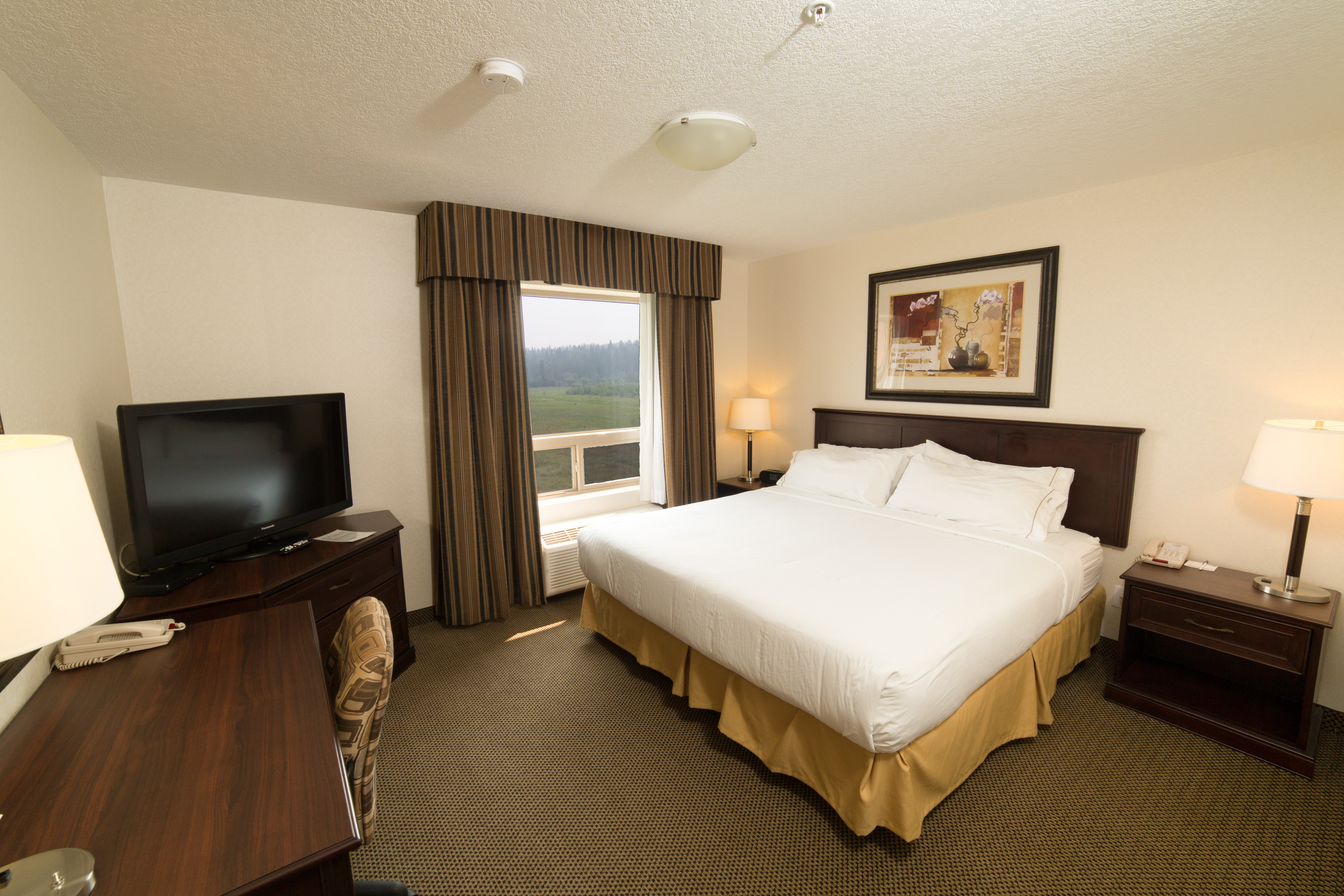 Holiday Inn Express Hotel Suites Whitecourt Southeast 32/78
