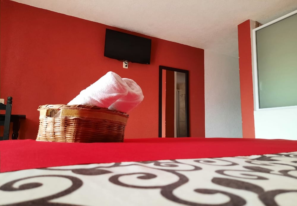 Hotel & Suites Cerro Rojo 31/68