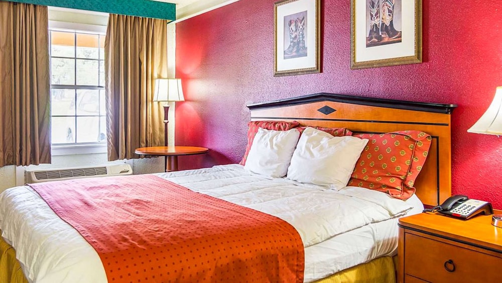Rodeway Inn And Suites 18/48