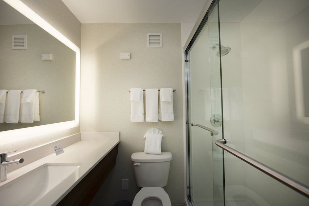 Holiday Inn Express Athens University Area 16/56