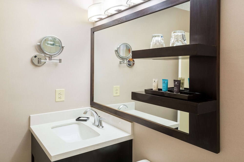 Sonesta Atlanta Airport North 17/60