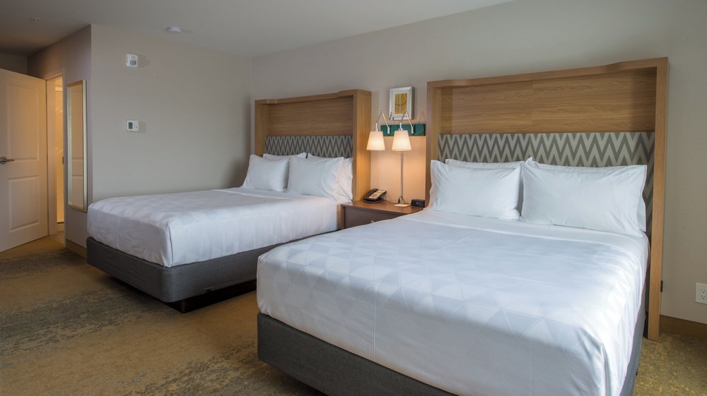 Holiday Inn Edmonton S Ellerslie Rd 14/48