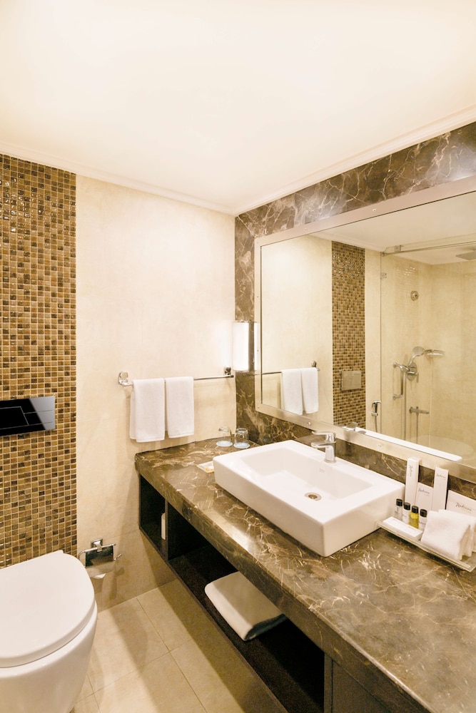 RADISSON JAIPUR CITY CENTER 25/68