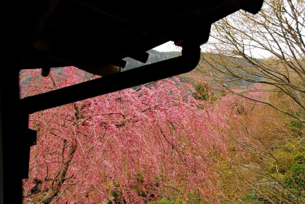 Hakone Kowakien Mikawaya Ryokan 39/45