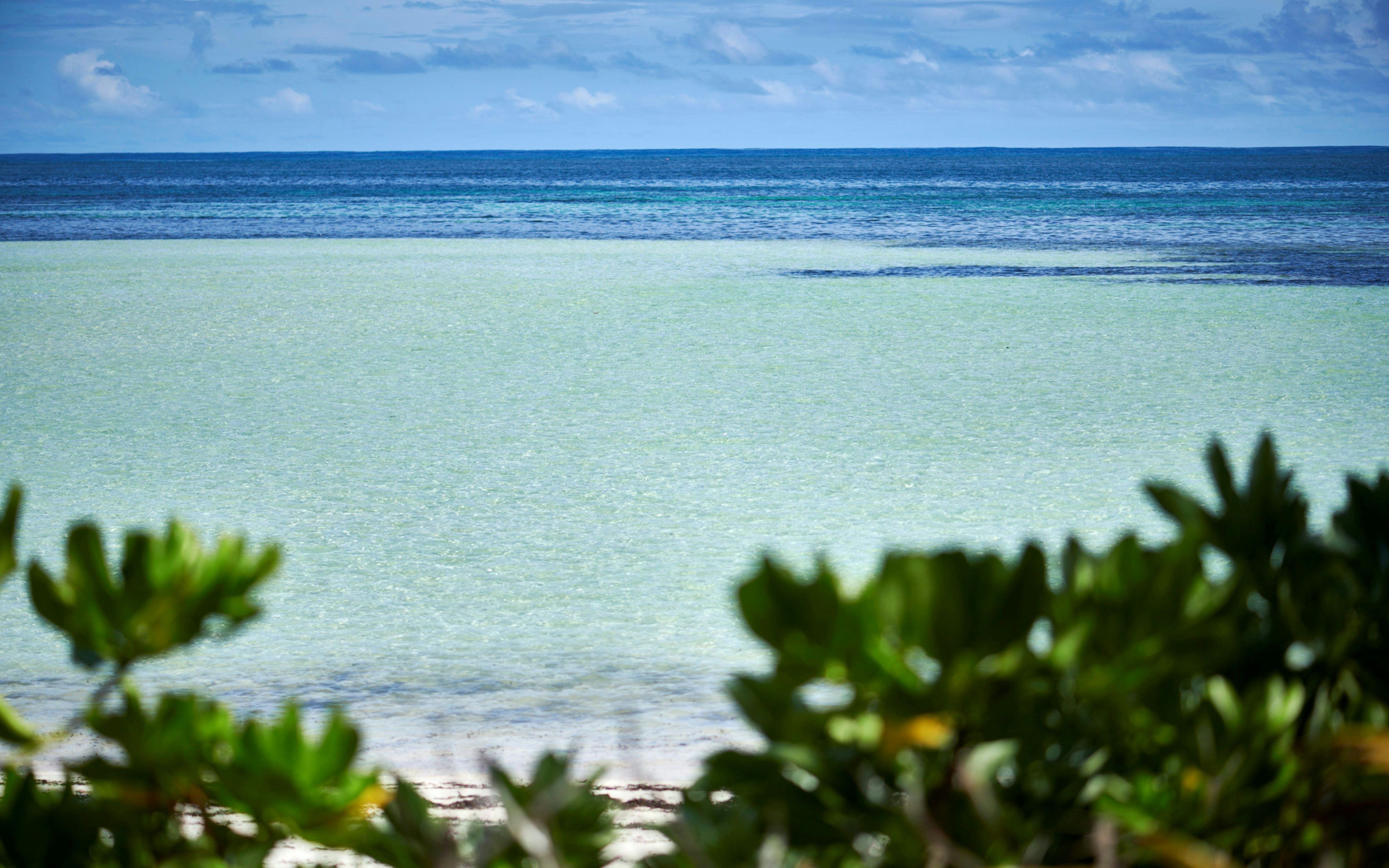 Waldorf Astoria Seychelles Platte Island 60/63