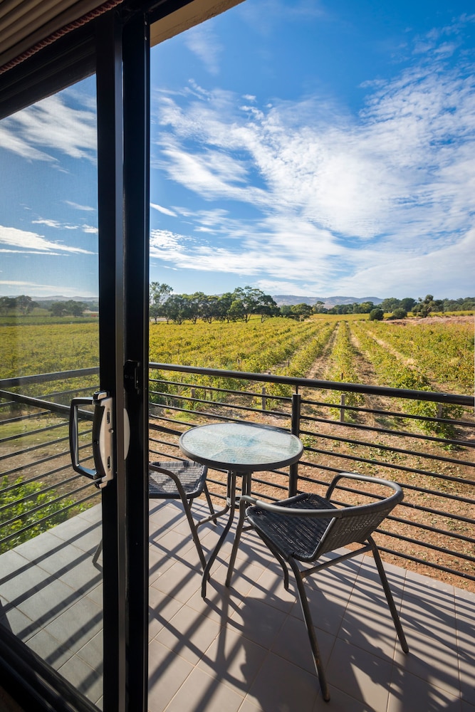 Barossa Shiraz Estate 43/50