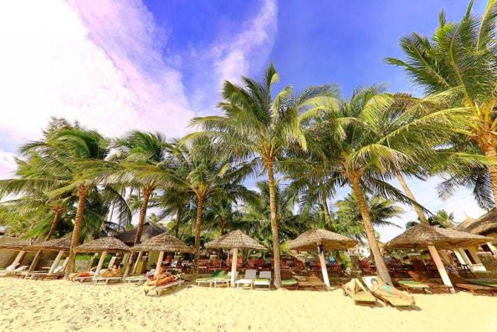 Thai Hoa Resort 67/75