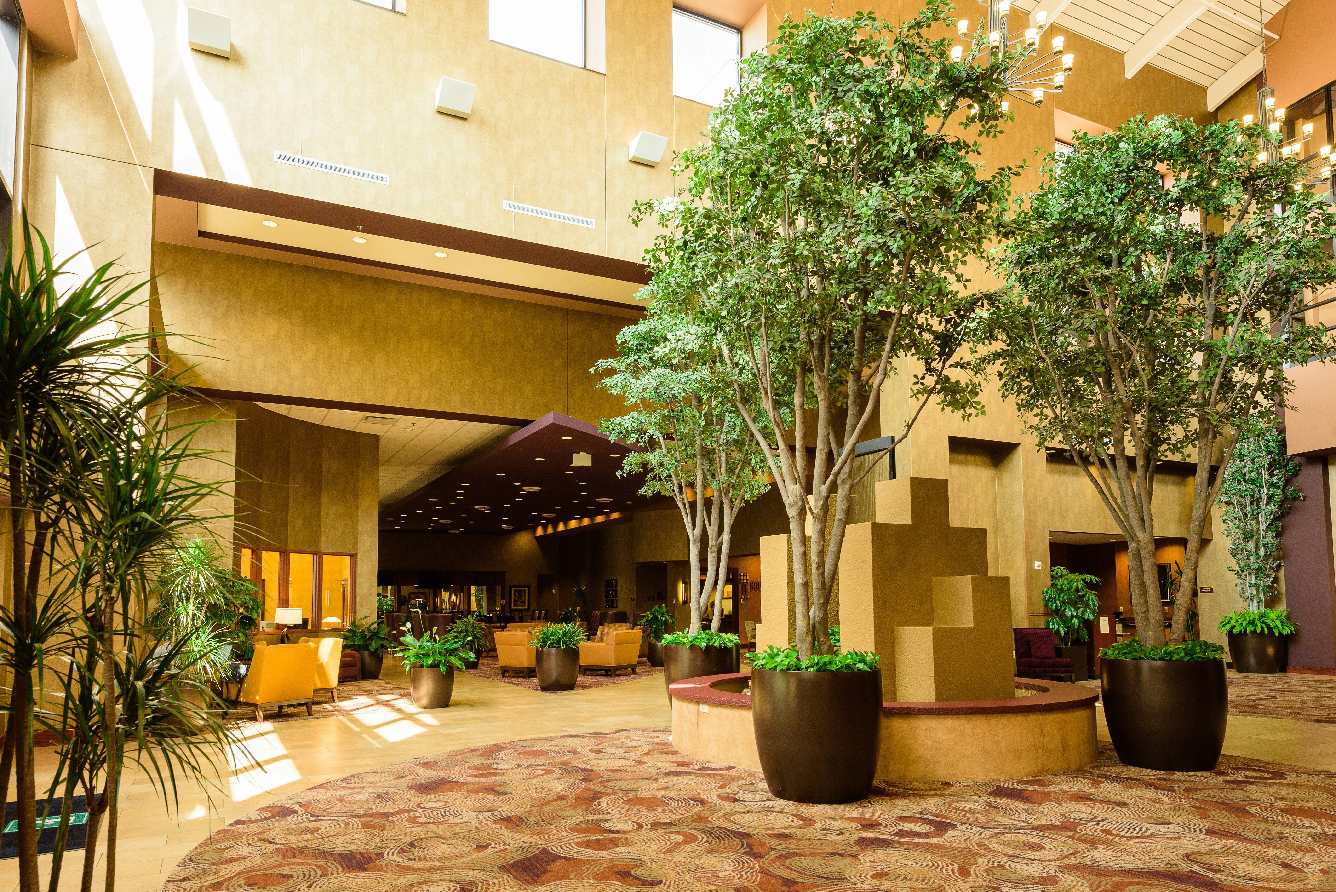 Embassy Suites by Hilton Minneapolis North 6/72