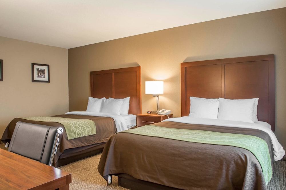 Comfort Inn Edinburg South Texas 9/46
