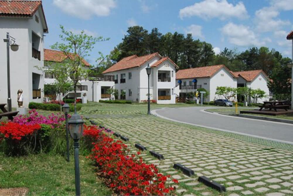Damyang Meta Pension 26/35