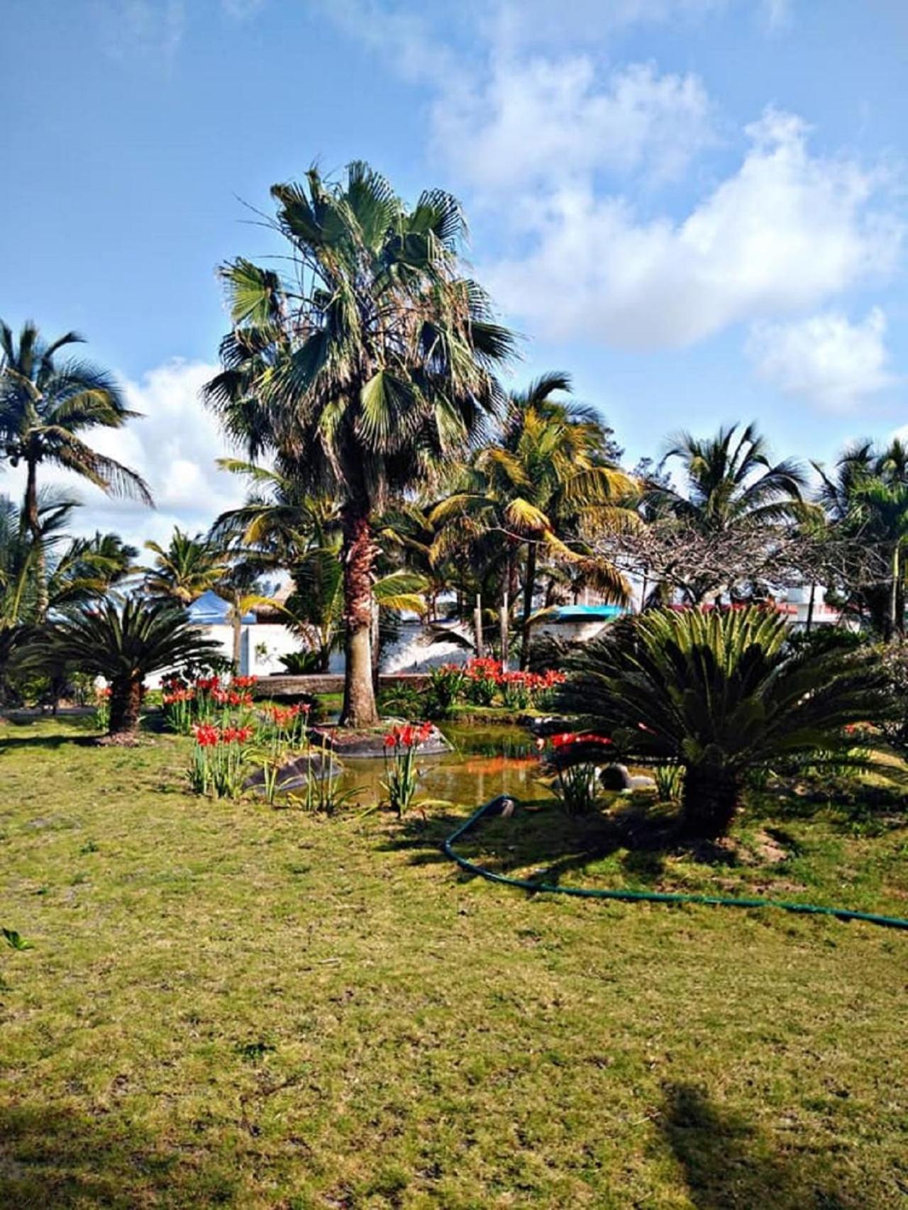 Hotel El Doral 30/41