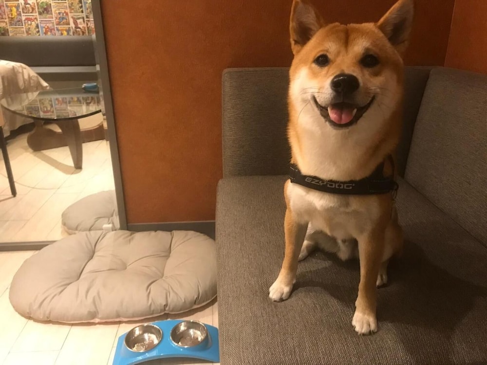 オラ モーテル 写真4