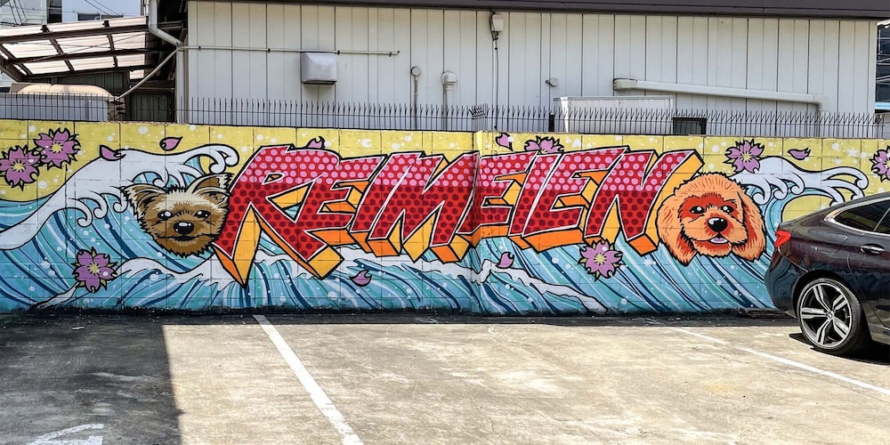 Reimeien 5/50