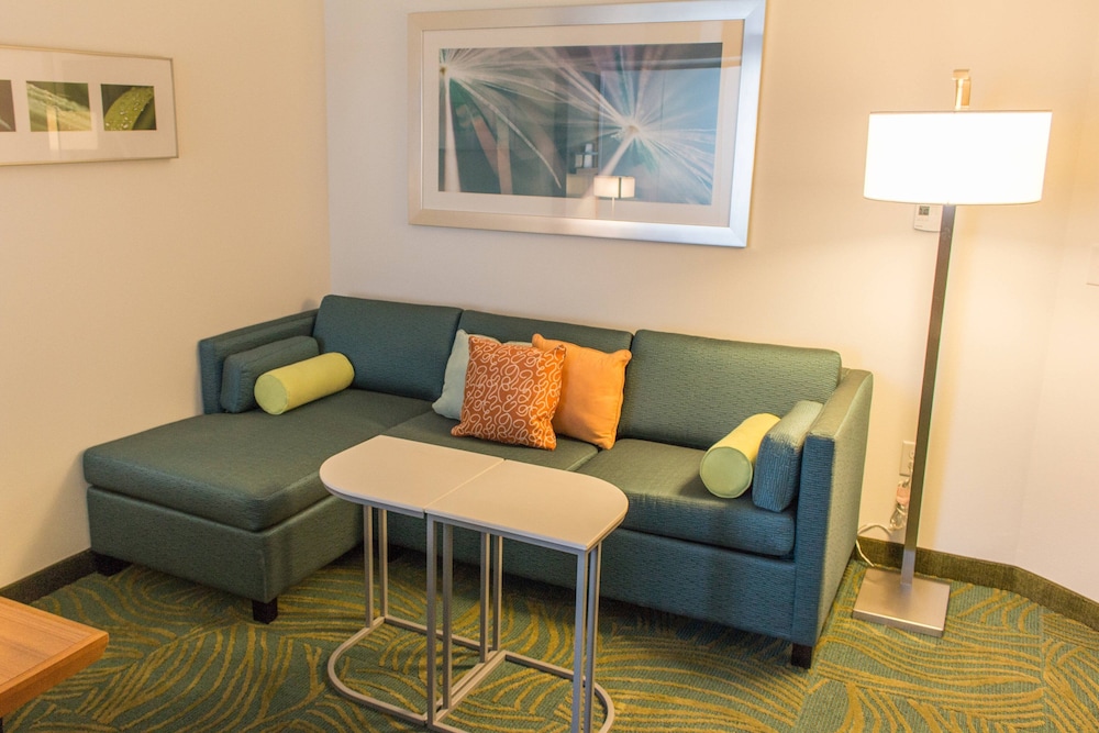 Springhill Suites By Marriott Sumter 19/31