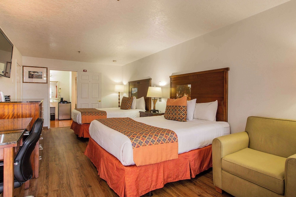 SUITE, MULTIPLE BEDS