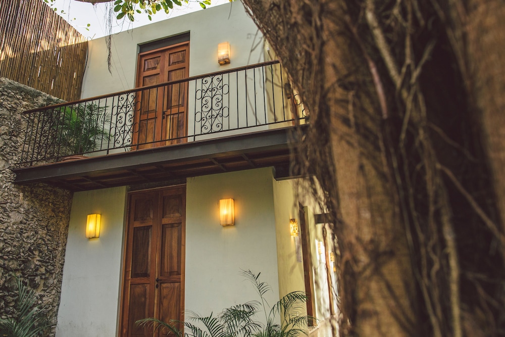 TreeHouse Boutique Hotel 1/50