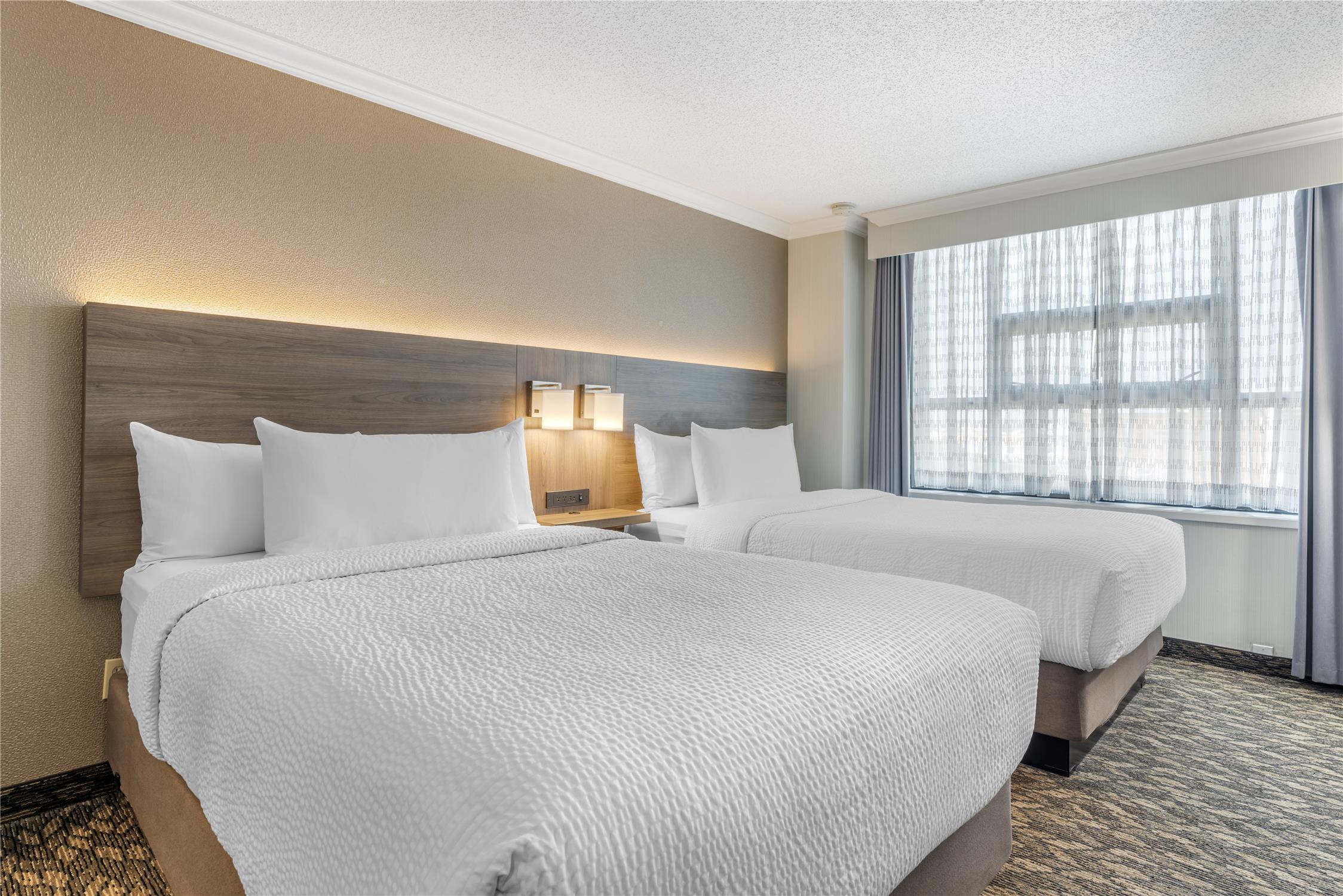 Suite, 2 Double Beds, Sofa, Kitchen
