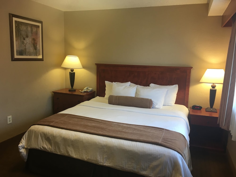 Best Western Vista Inn At The Airport 13/47