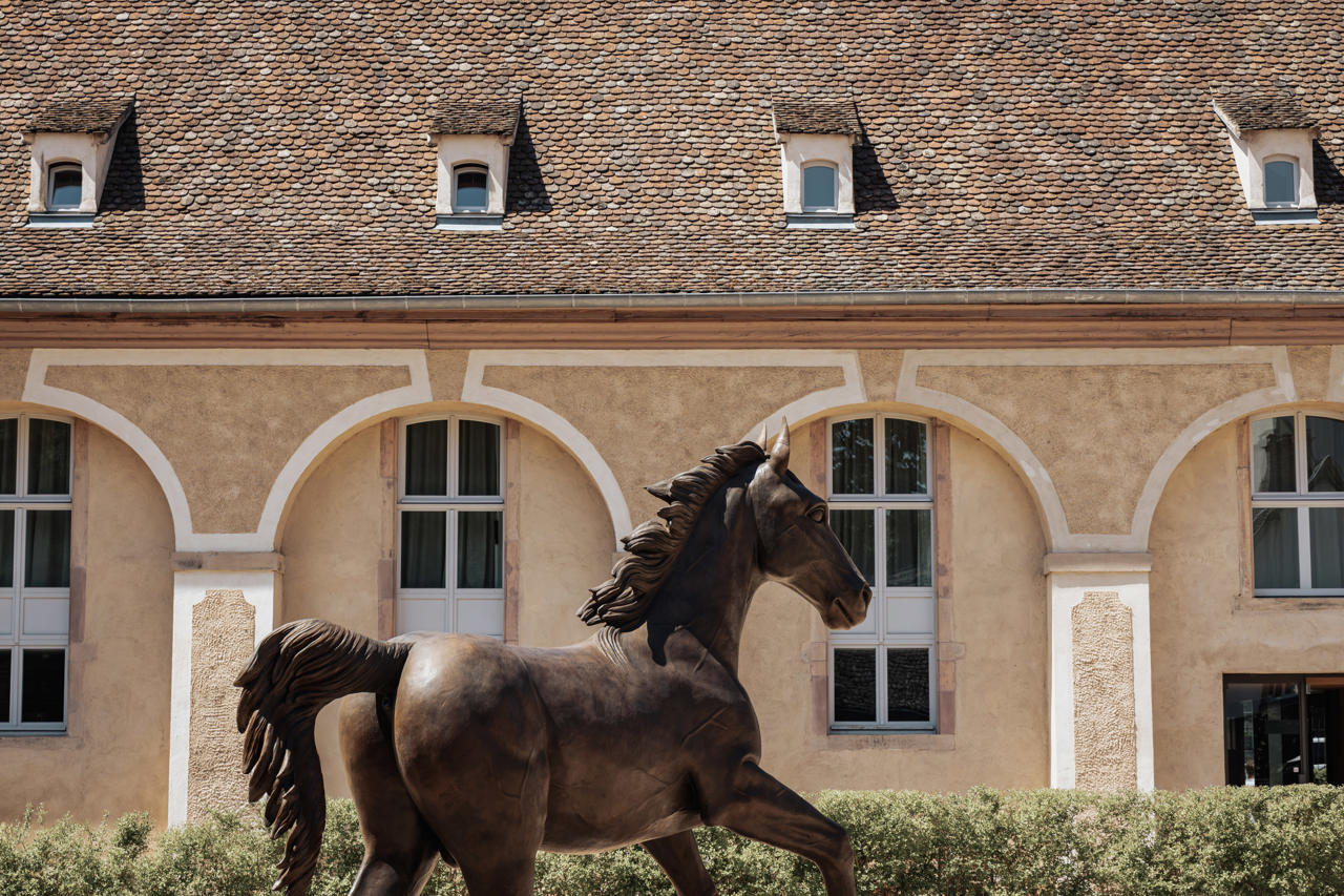 Hotel Les Haras in STRASBOURG