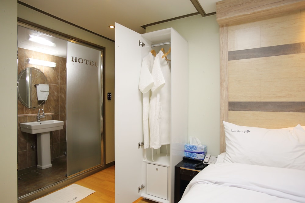 Daeyoung Hotel Seoul 15/66