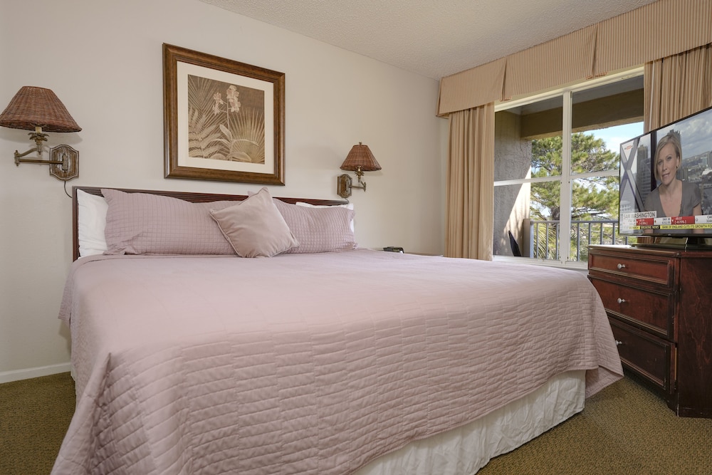 1 BEDROOM, CONDO, DELUXE