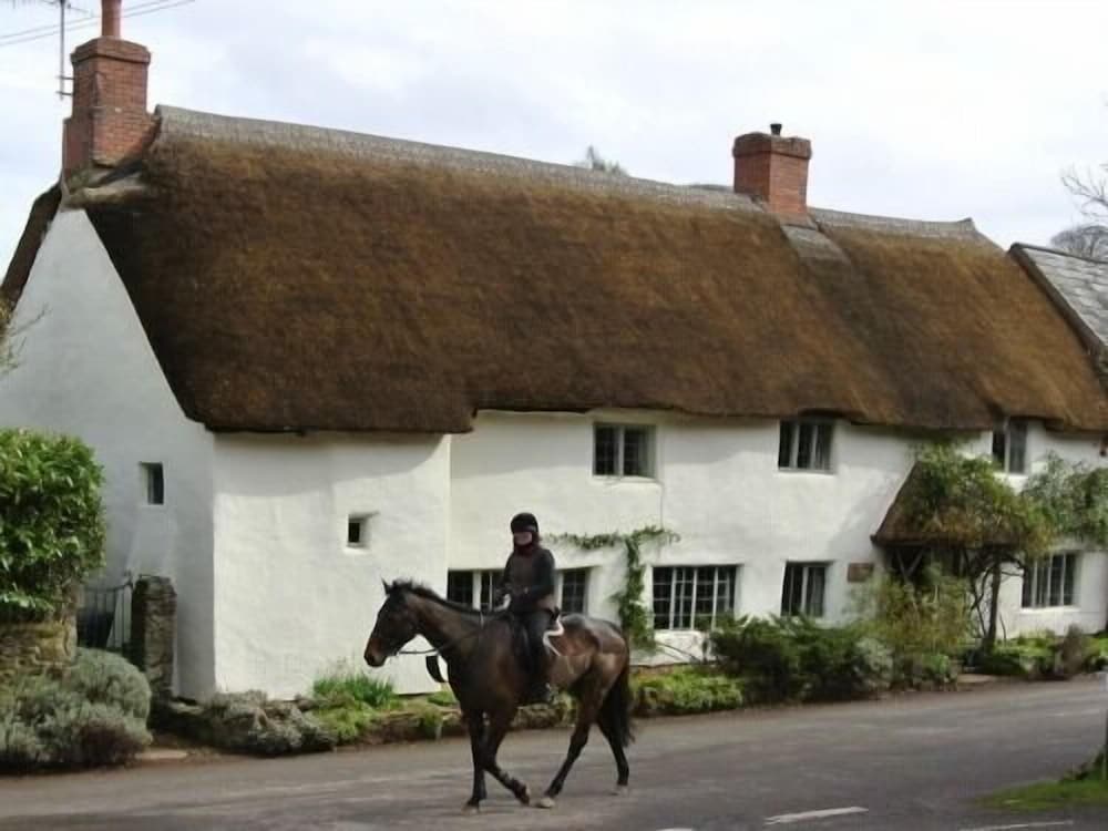 The Notley Arms Inn 3/41
