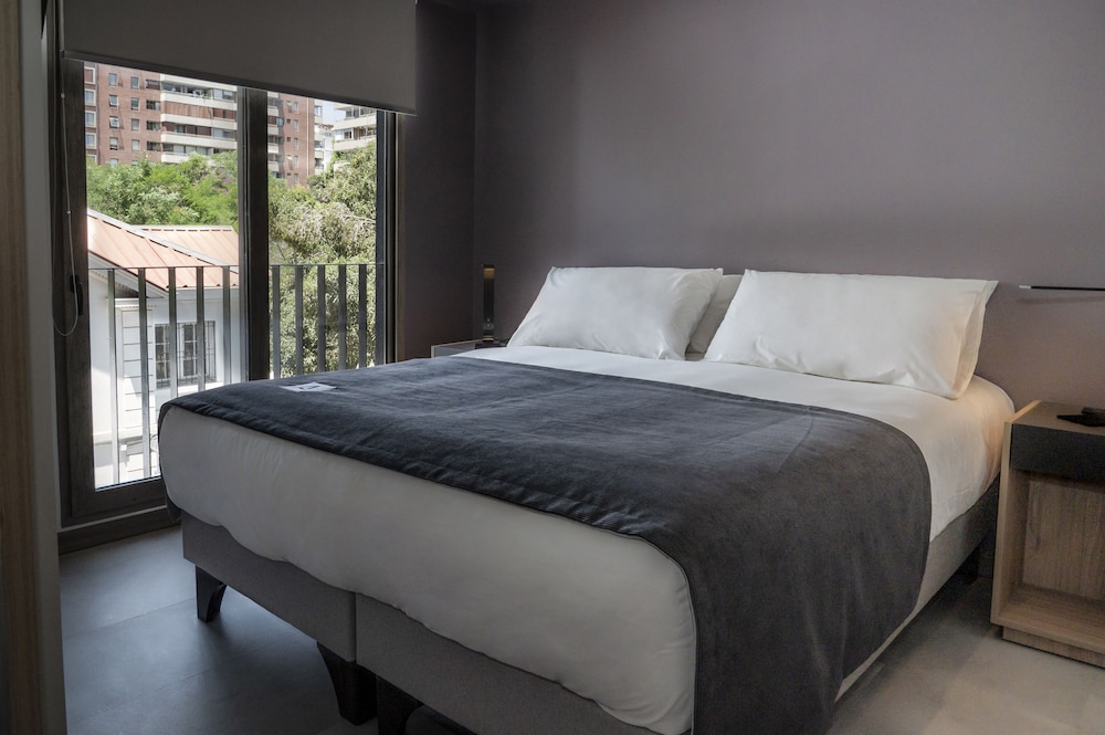 Hotel Almasur Providencia 18/59