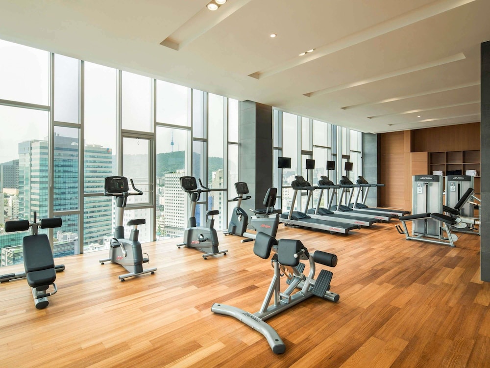 Novotel Ambassador Seoul Dongdaemun Hotels and Residences 44/75
