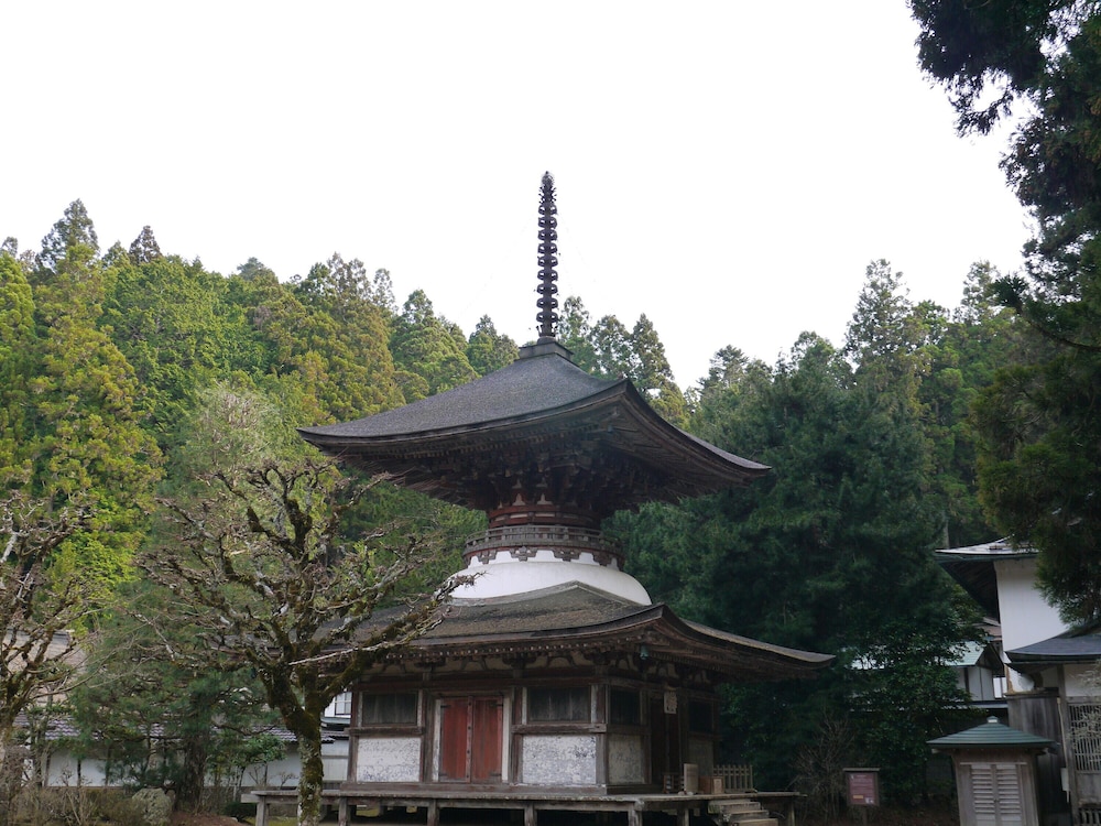 Kongo Sanmaiin 3/50