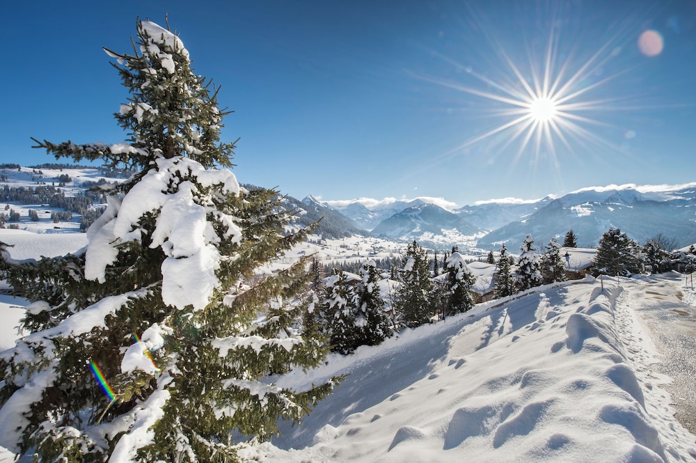 Hotel Le Grand Chalet 35/50