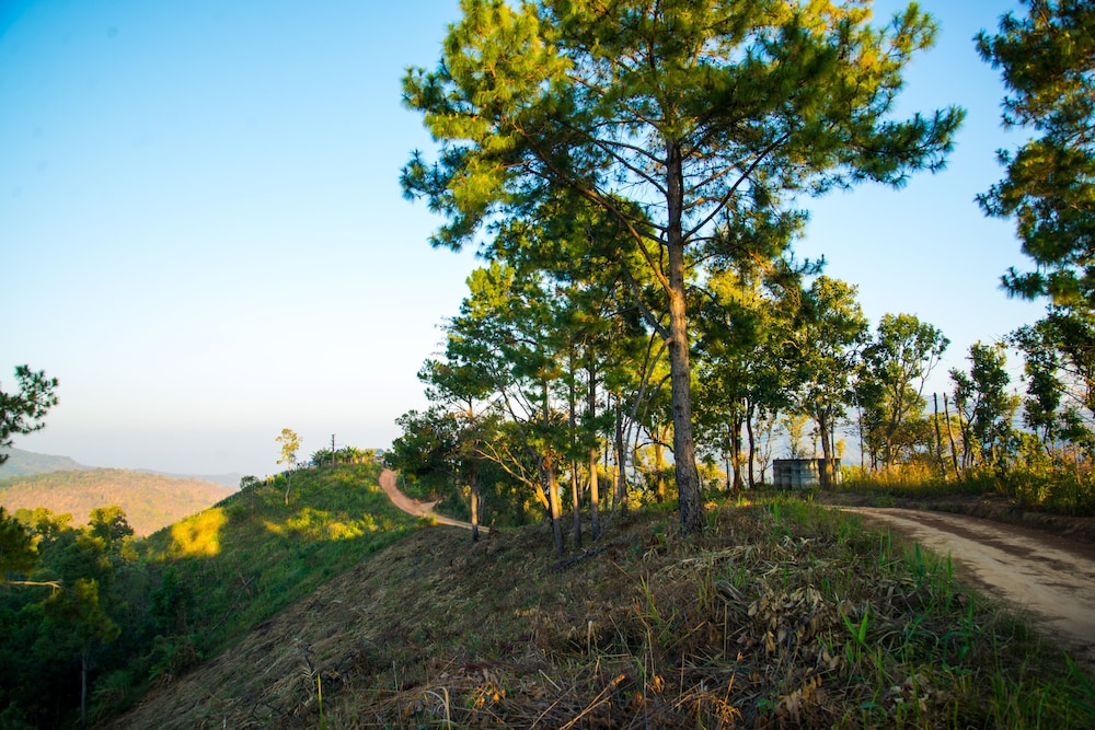 Phumorkdao Resort 38/50