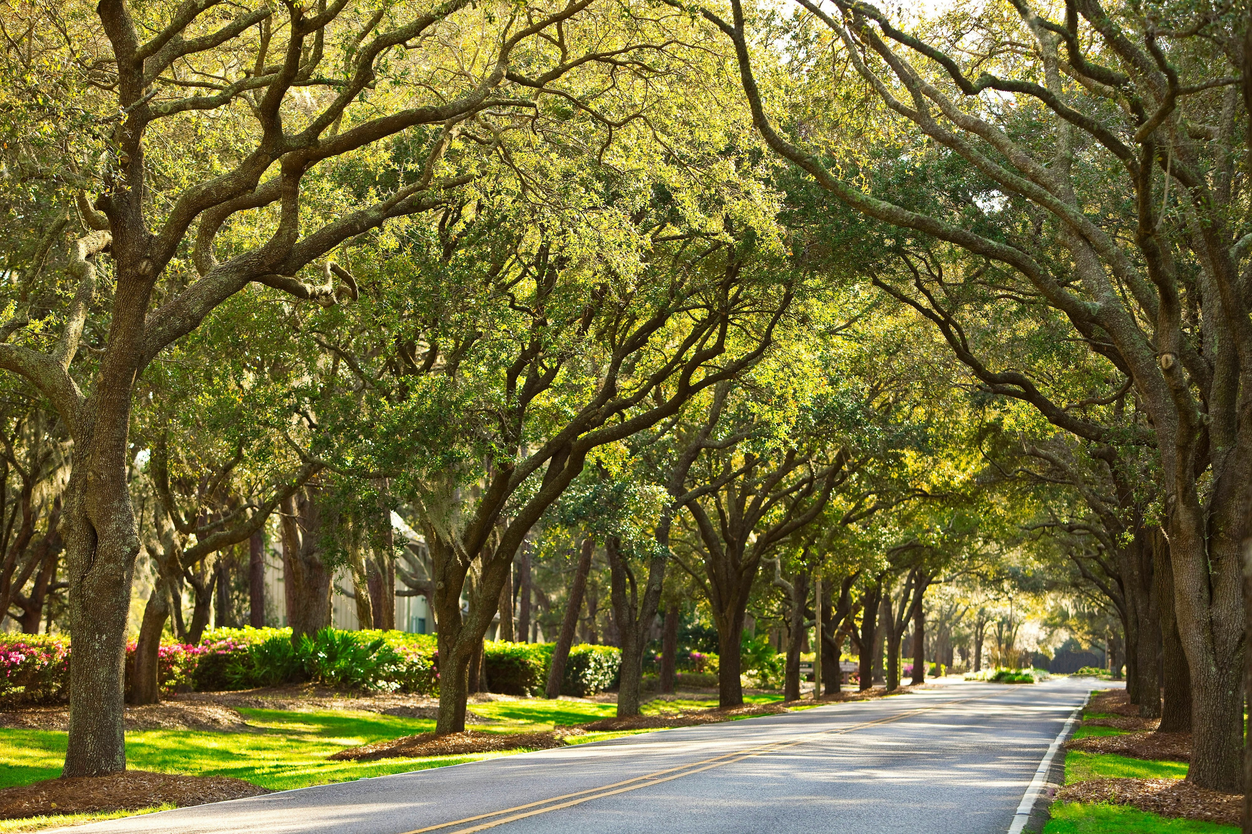 The Westin Hilton Head Island Resort and Spa 73/78