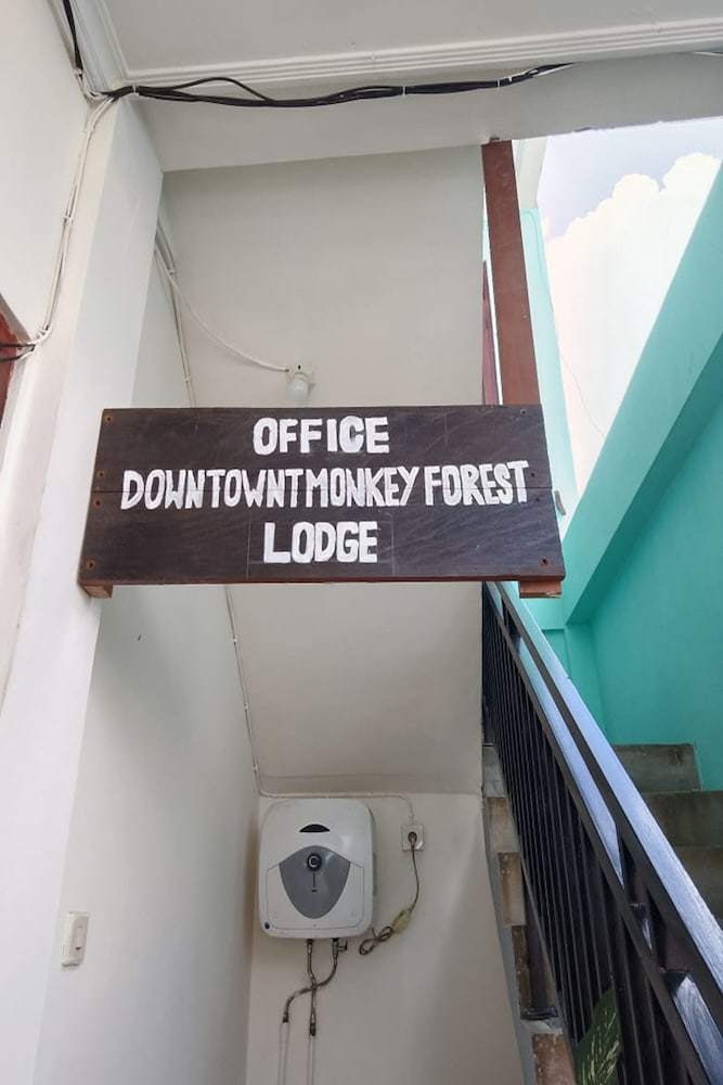 Downtown Monkey Forest - Hostel 8/58