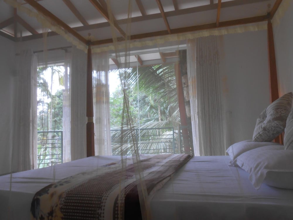 Rainforest Lodge 8/50