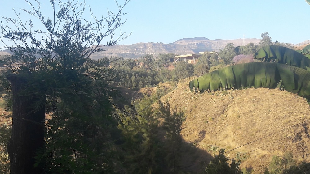 Budget Ethiopia Tours And Homestay 3/5