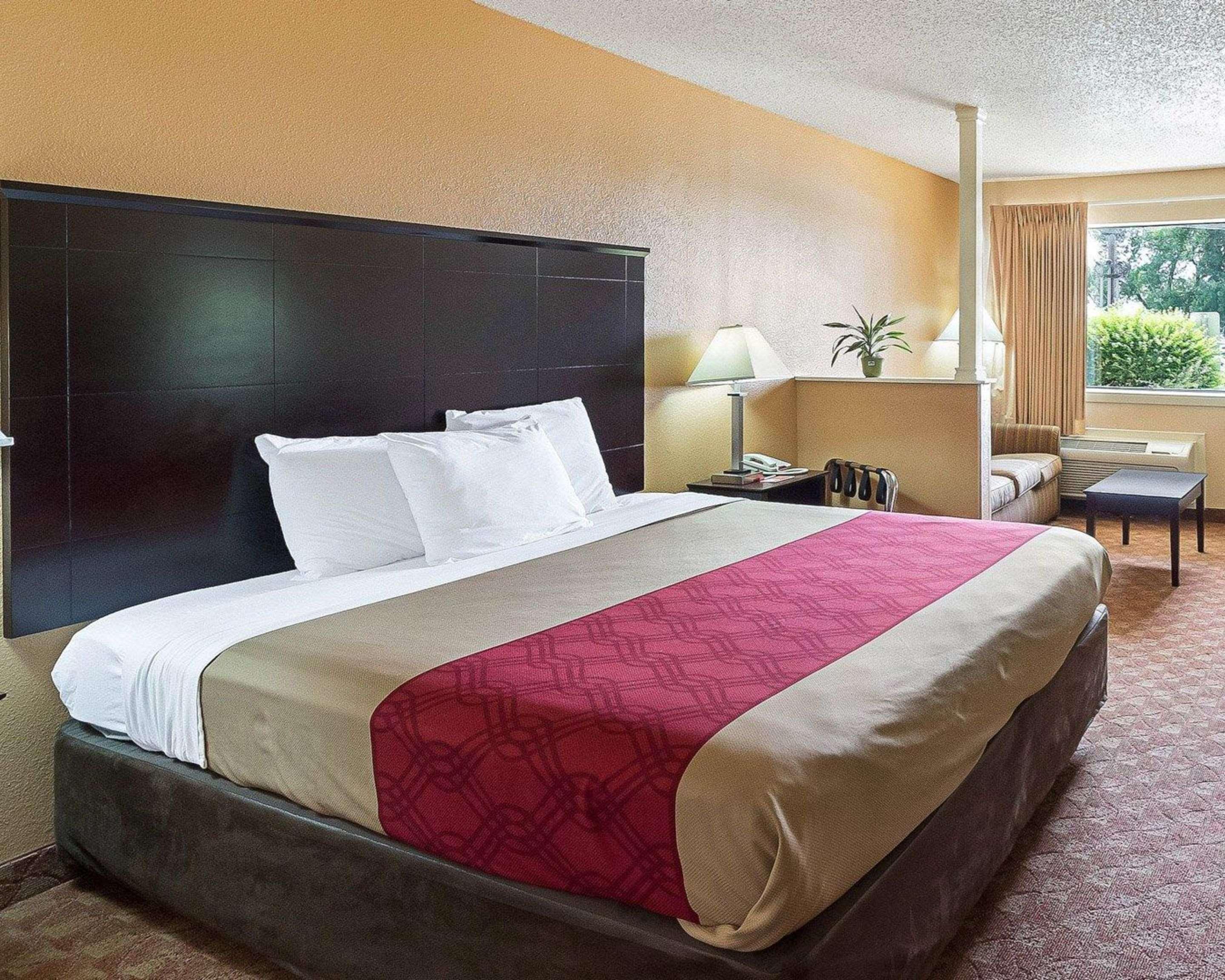 SUITE, KING BED